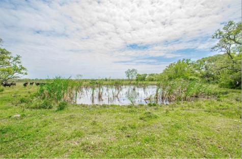 14991 Ac Cr 400 Road Freeport TX 77541