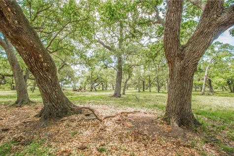 14991 Ac Cr 400 Road Freeport TX 77541