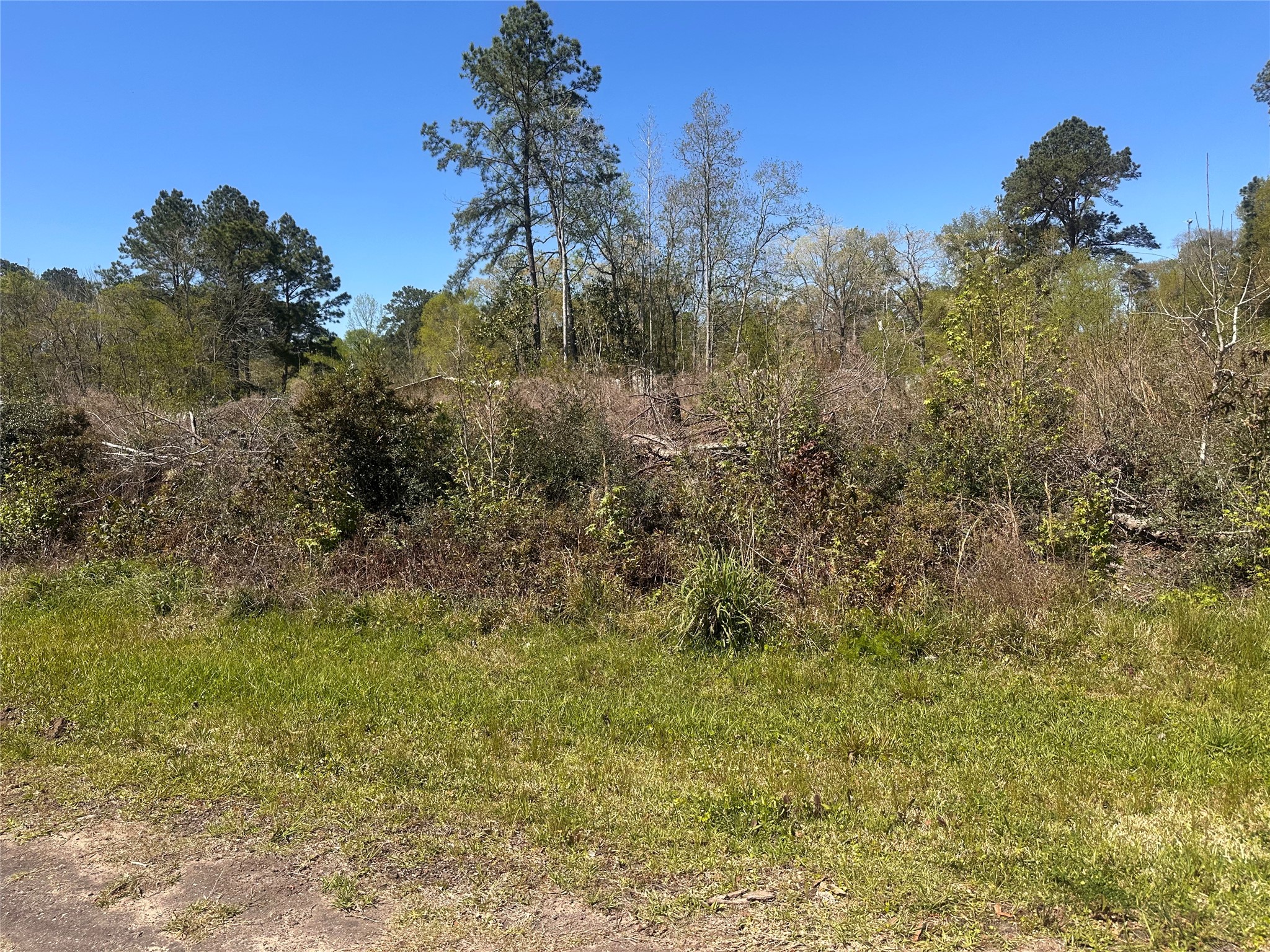 0 Dottie Lane Shepherd TX 77371