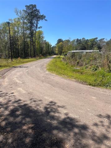 0 Dottie Lane Shepherd TX 77371