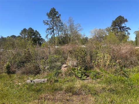 0 Dottie Lane Shepherd TX 77371