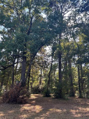 151617 Chain Road Road Livingston TX 77351