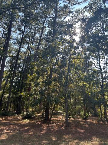 151617 Chain Road Road Livingston TX 77351