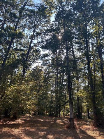 151617 Chain Road Road Livingston TX 77351