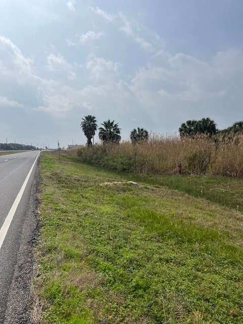 32 Lot 32 Palm Beac Galveston TX 77554