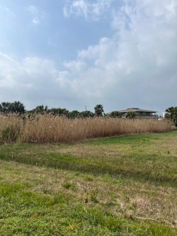 32 Lot 32 Palm Beac Galveston TX 77554