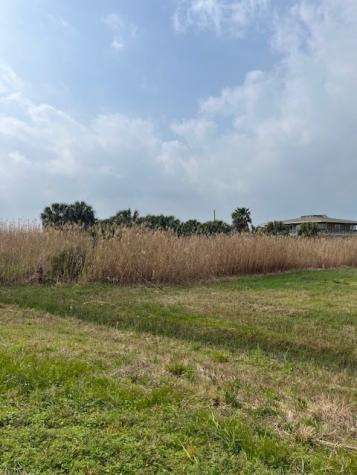32 Lot 32 Palm Beac Galveston TX 77554