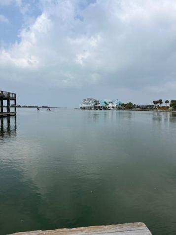 32 Lot 32 Palm Beac Galveston TX 77554
