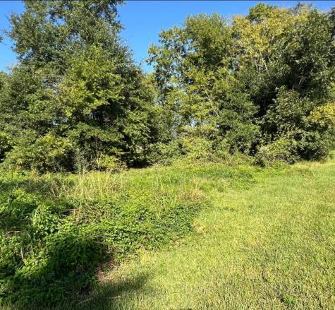 1400 W Virginia Beaumont TX 77705