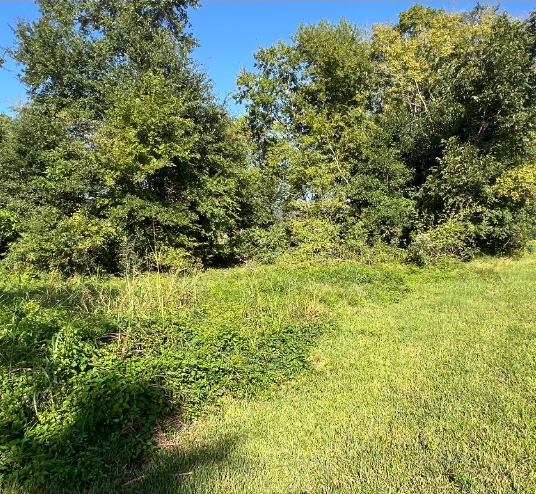 1400 W Virginia Beaumont TX 77705