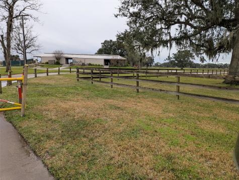 861 Longhorn Trail Angleton TX 77515