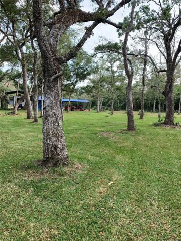 0 Private Road 648 Street Cedar Lake TX 77414