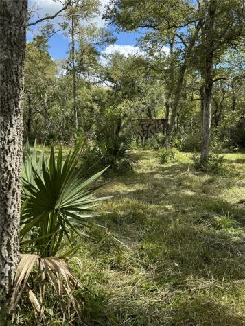 0 Private Road 648 Street Cedar Lake TX 77414