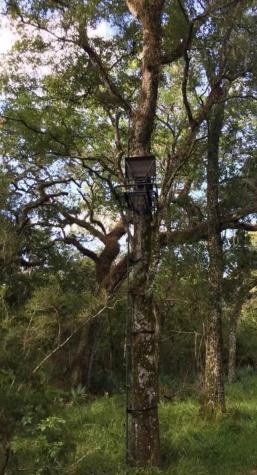 0 Private Road 648 Street Cedar Lake TX 77414