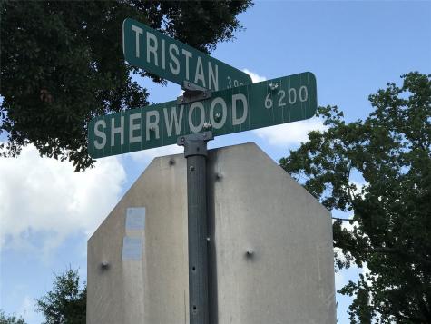 6219 Sherwood Drive Houston TX 77021