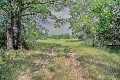 1589 Jeddo Road Rosanky TX 78953