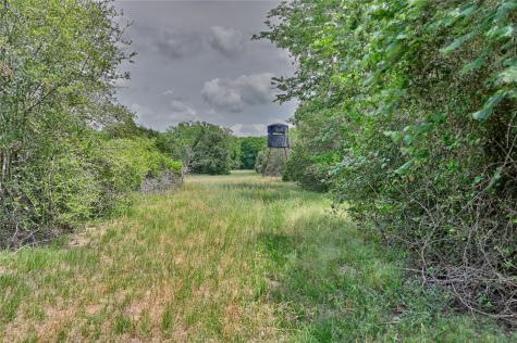 1589 Jeddo Road Rosanky TX 78953
