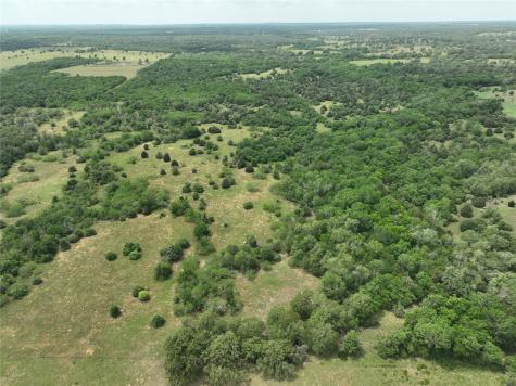 1589 Jeddo Road Rosanky TX 78953