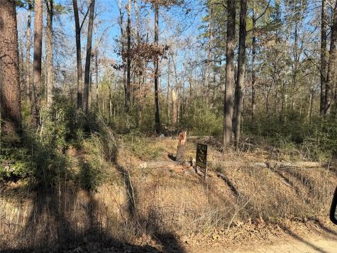 Tbd Wild Bird Lane Livingston TX 77351