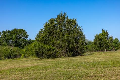 00 Sauney Chapel Road Chappell Hill TX 77426
