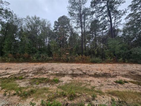 142 Splendid Road New Waverly TX 77358