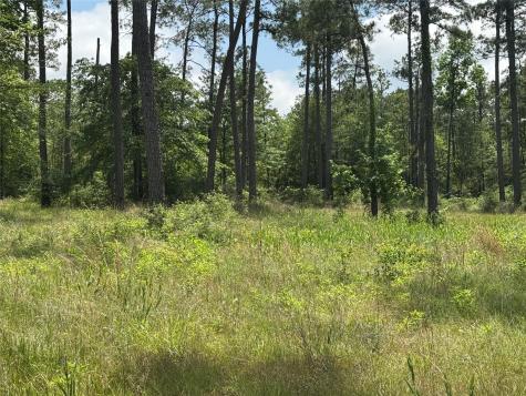 015 Private Road 6028 Brookeland TX 75931