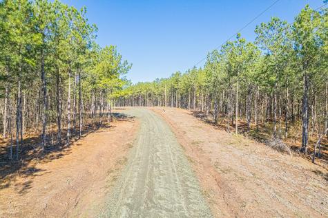 Id 25417 Lot 112 000 Fm 705 Broaddus TX 75929