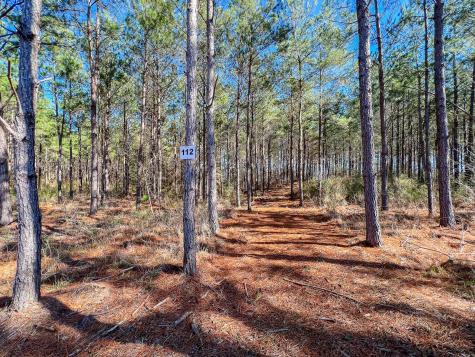 Id 25417 Lot 112 000 Fm 705 Broaddus TX 75929