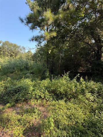 1535 Sunrise Trail Houston TX 77339