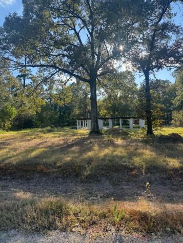 162 Linnwood Drive Woodbranch TX 77357