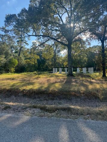 162 Linnwood Drive Woodbranch TX 77357