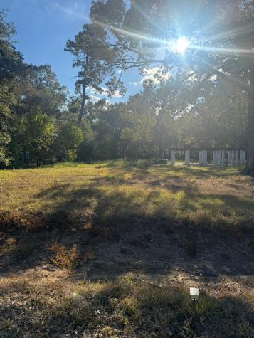 162 Linnwood Drive Woodbranch TX 77357