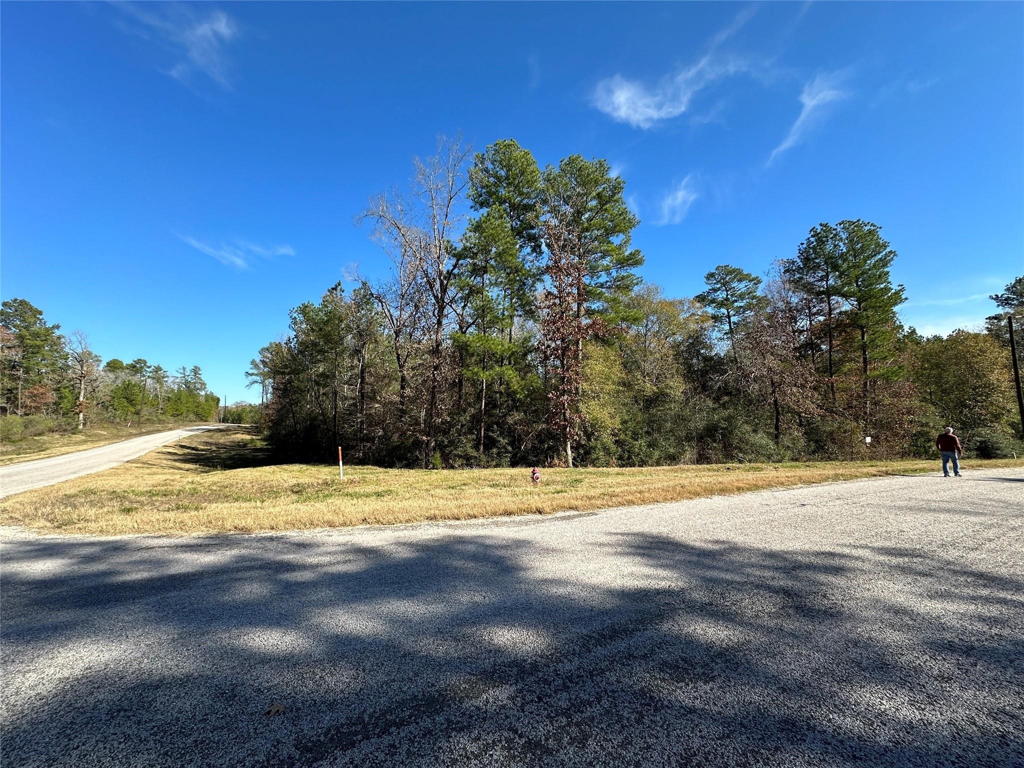 2-6-68 Hereford Trail Huntsville TX 77340