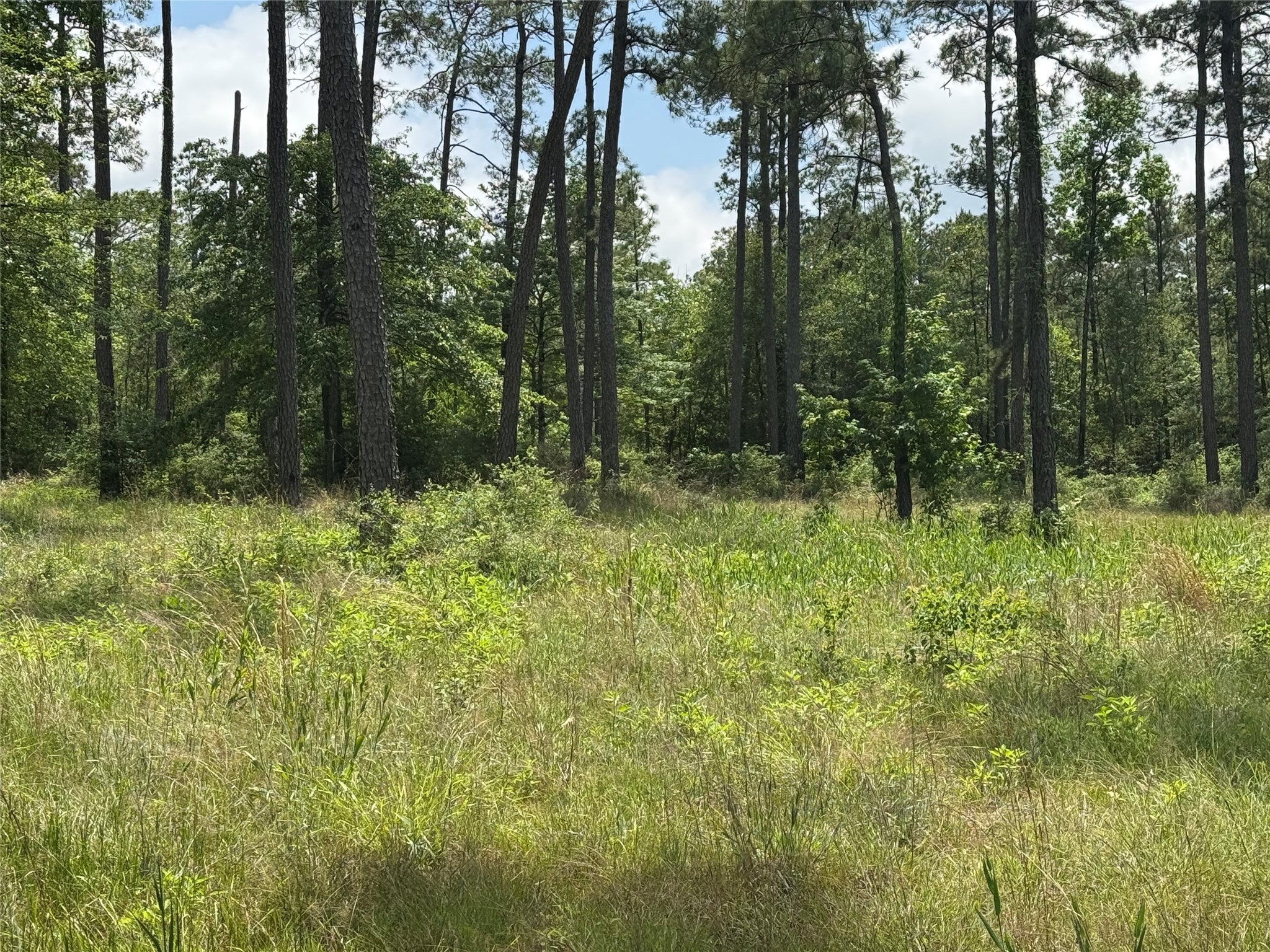 011 Private Road 6028 Brookeland TX 75931