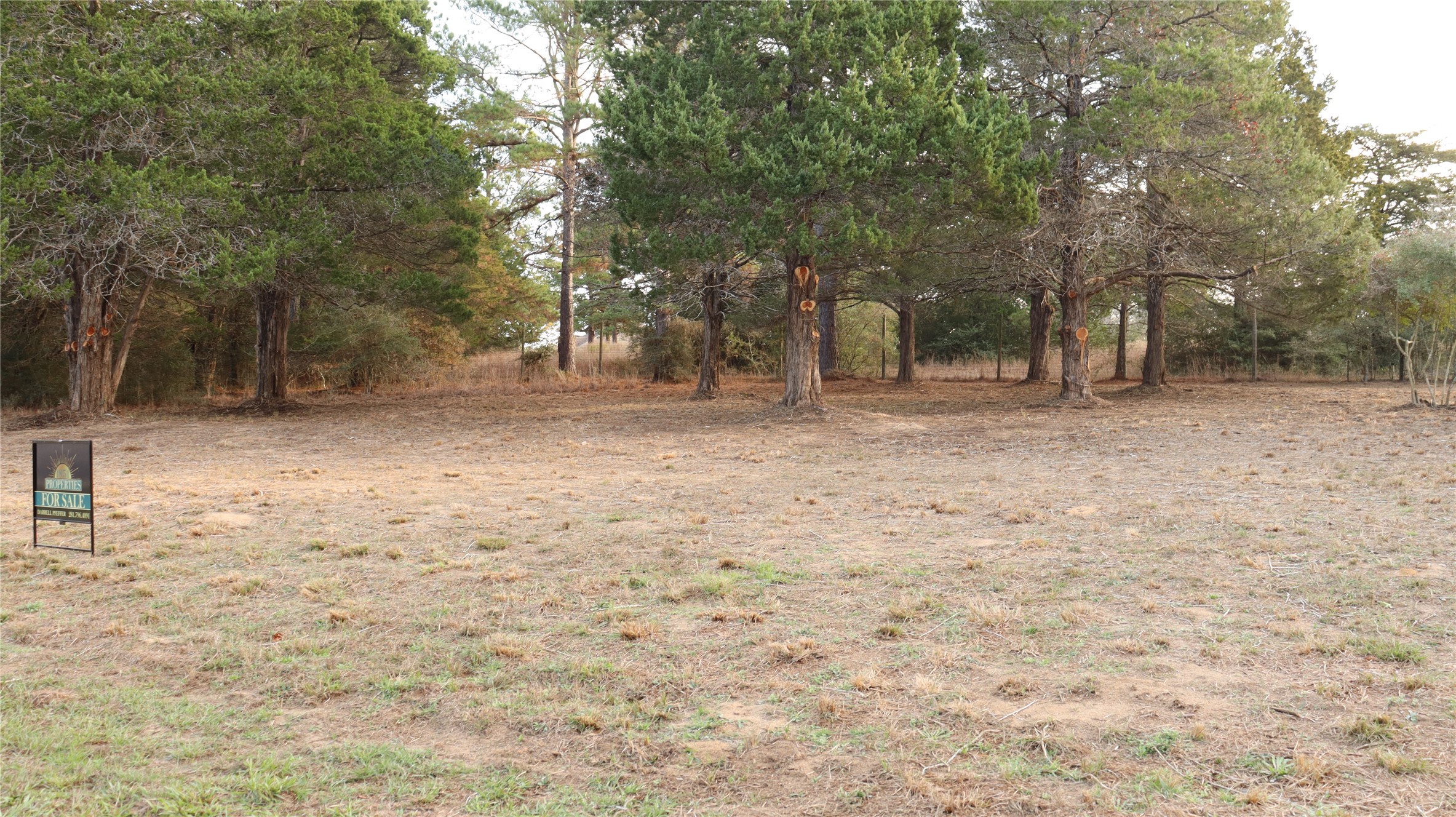Lot 27a Doral Drive New Ulm TX 78950