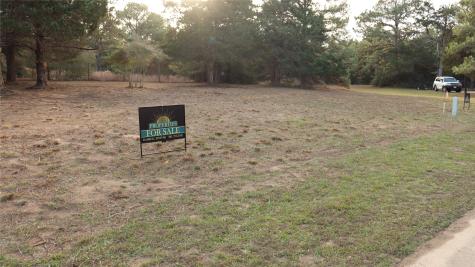 Lot 27a Doral Drive New Ulm TX 78950