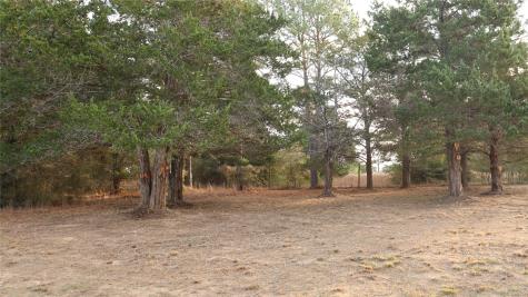 Lot 27a Doral Drive New Ulm TX 78950