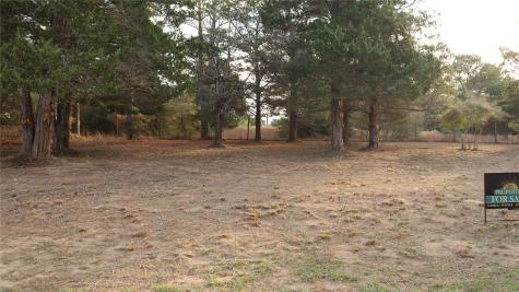 Lot 27a Doral Drive New Ulm TX 78950