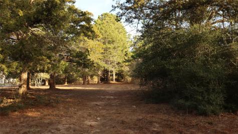 Lot 27a Doral Drive New Ulm TX 78950