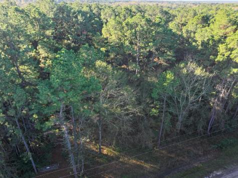 156 Lessa Lane Huntsville TX 77340