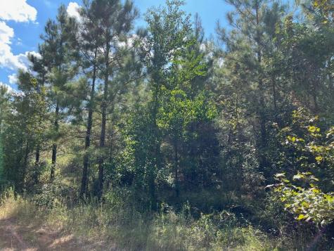 16023 Ridge Oak Road Willis TX 77378