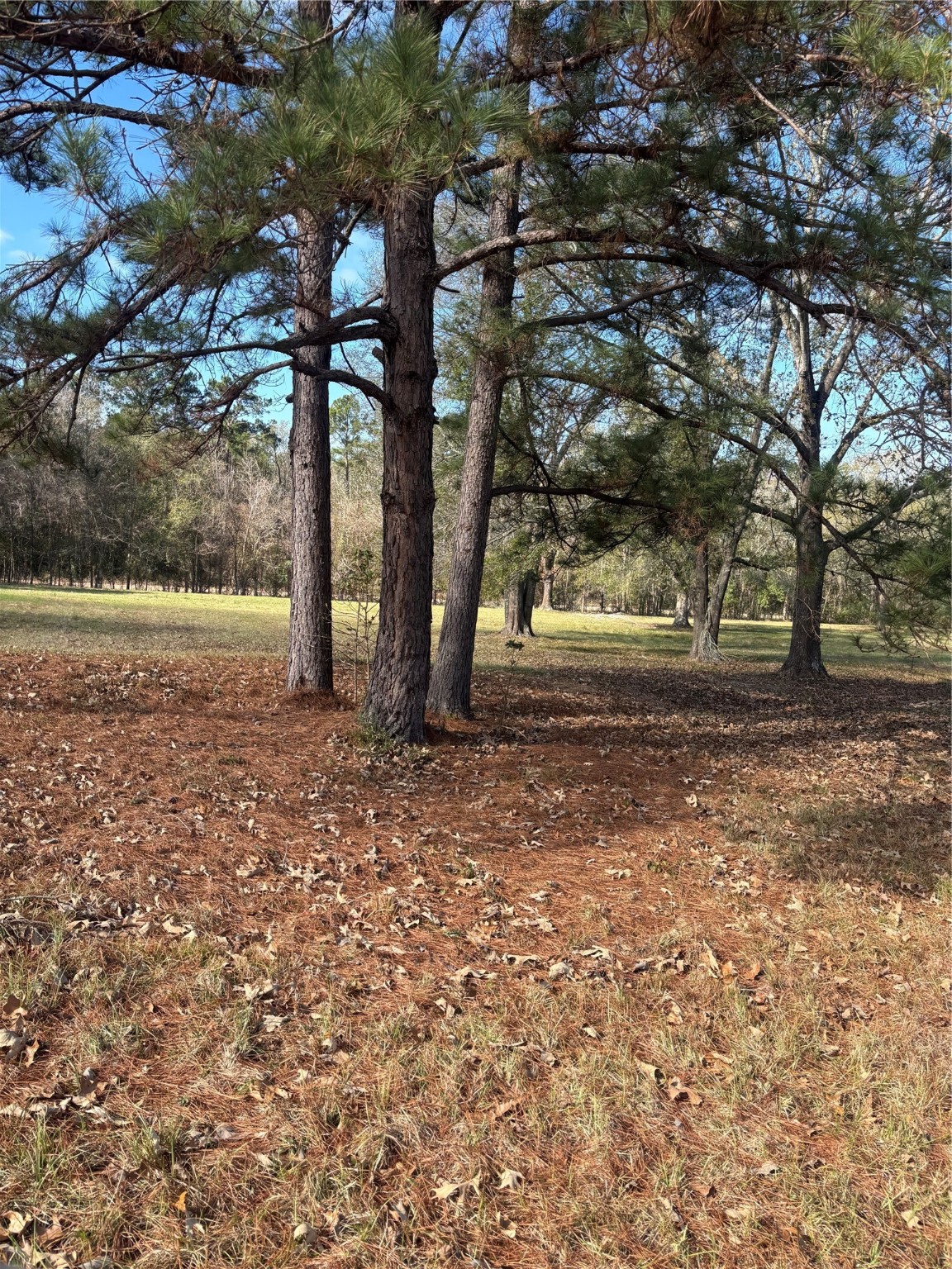 2956 Us Highway 59 S Livingston TX 77351-2194