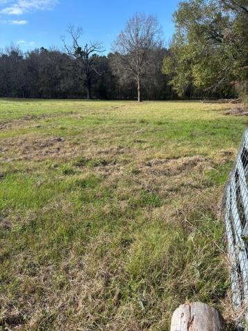 2956 Us Highway 59 S Livingston TX 77351-2194