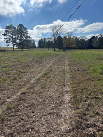 2956 Us Highway 59 S Livingston TX 77351-2194
