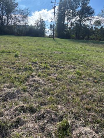 2956 Us Highway 59 S Livingston TX 77351-2194