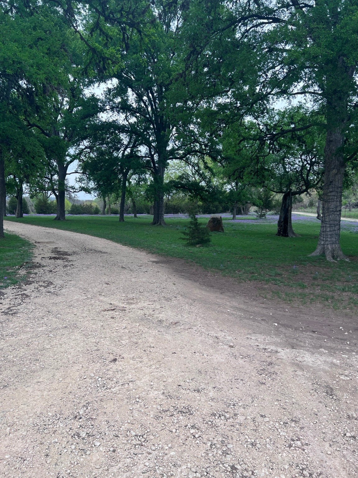 1719 Sisterdale Road Boerne TX 78006