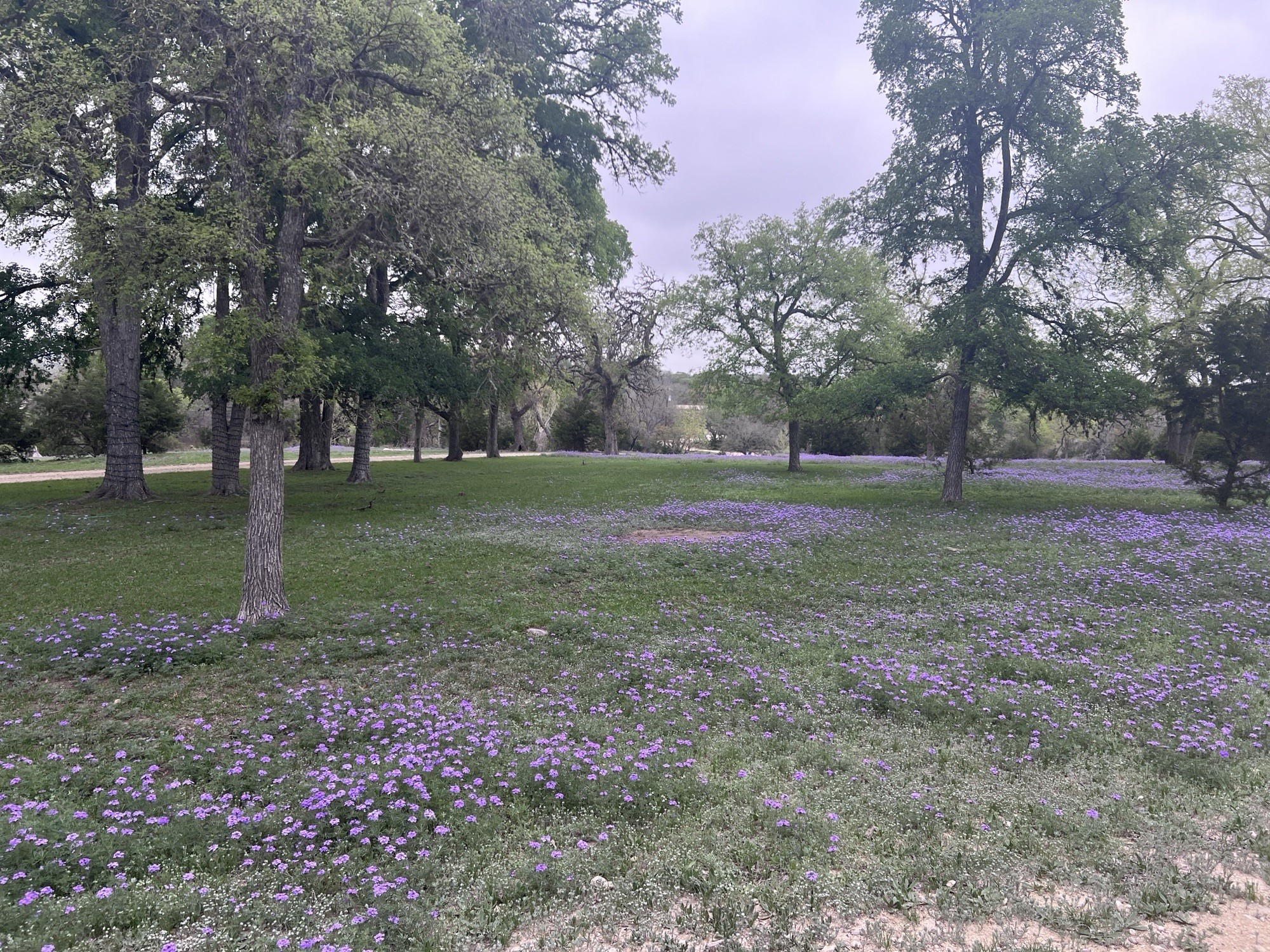 1719 Sisterdale Road Boerne TX 78006
