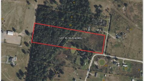 10.25 Acres Mustang Loop Madisonville TX 77864