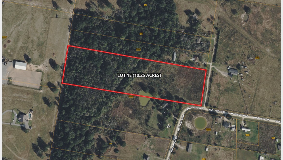 10.25 Acres Mustang Loop Madisonville TX 77864