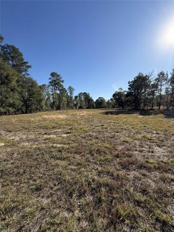 709 County Road 3880 Cleveland TX 77328